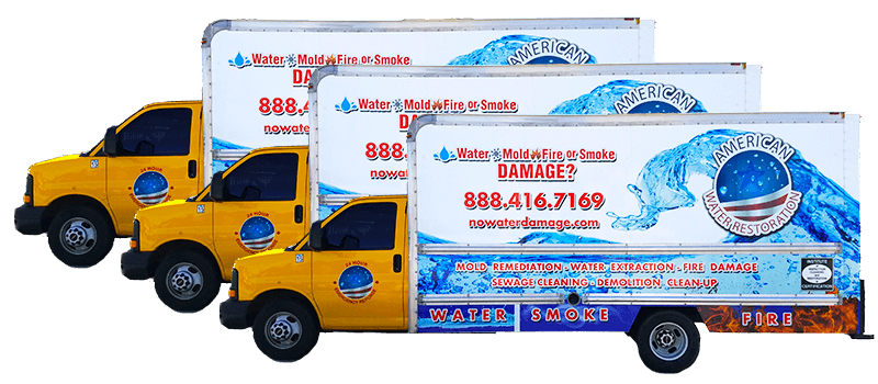 Carpet Cleaning Carpet Cleaning
